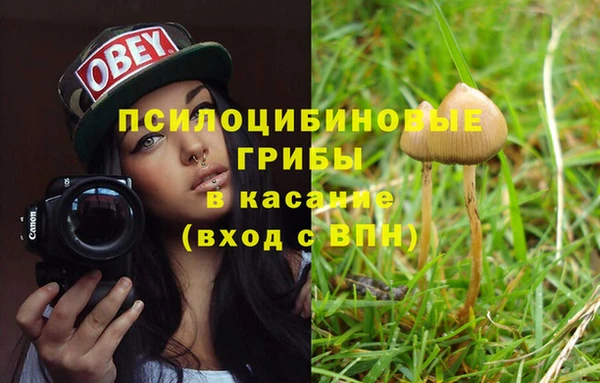 2c-b Аркадак