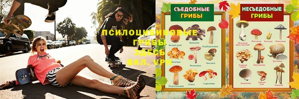 дурь Новозыбков