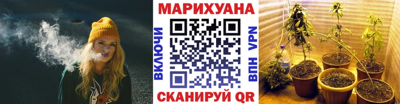 Бошки марихуана планчик  Тайшет 